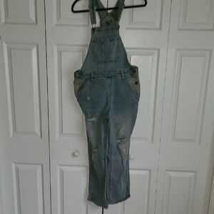 Wild Fable Blue Denim Overalls